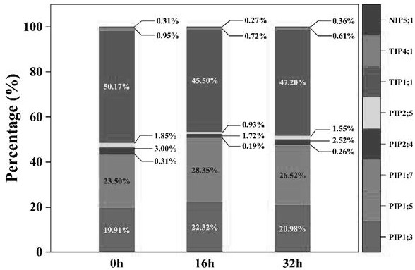 Tomato aquaporin SlTIP1;1for regulating flower stalk shedding