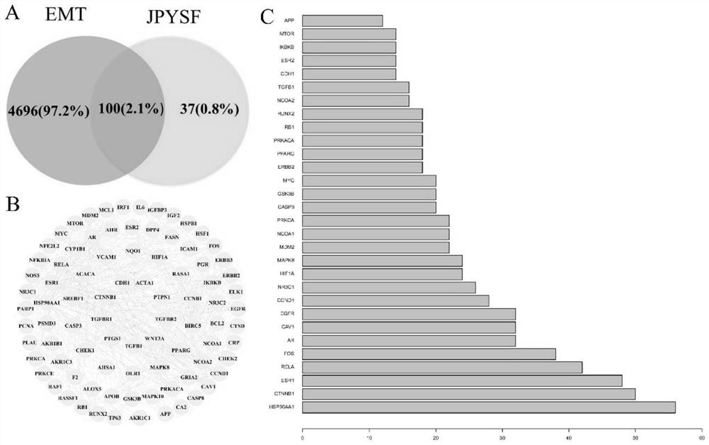 Method for analyzing action mechanism of spleen-tonifying and kidney-nourishing prescription for treating epithelial-mesenchymal transition