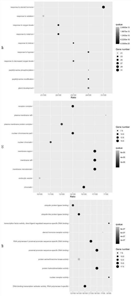 Method for analyzing action mechanism of spleen-tonifying and kidney-nourishing prescription for treating epithelial-mesenchymal transition