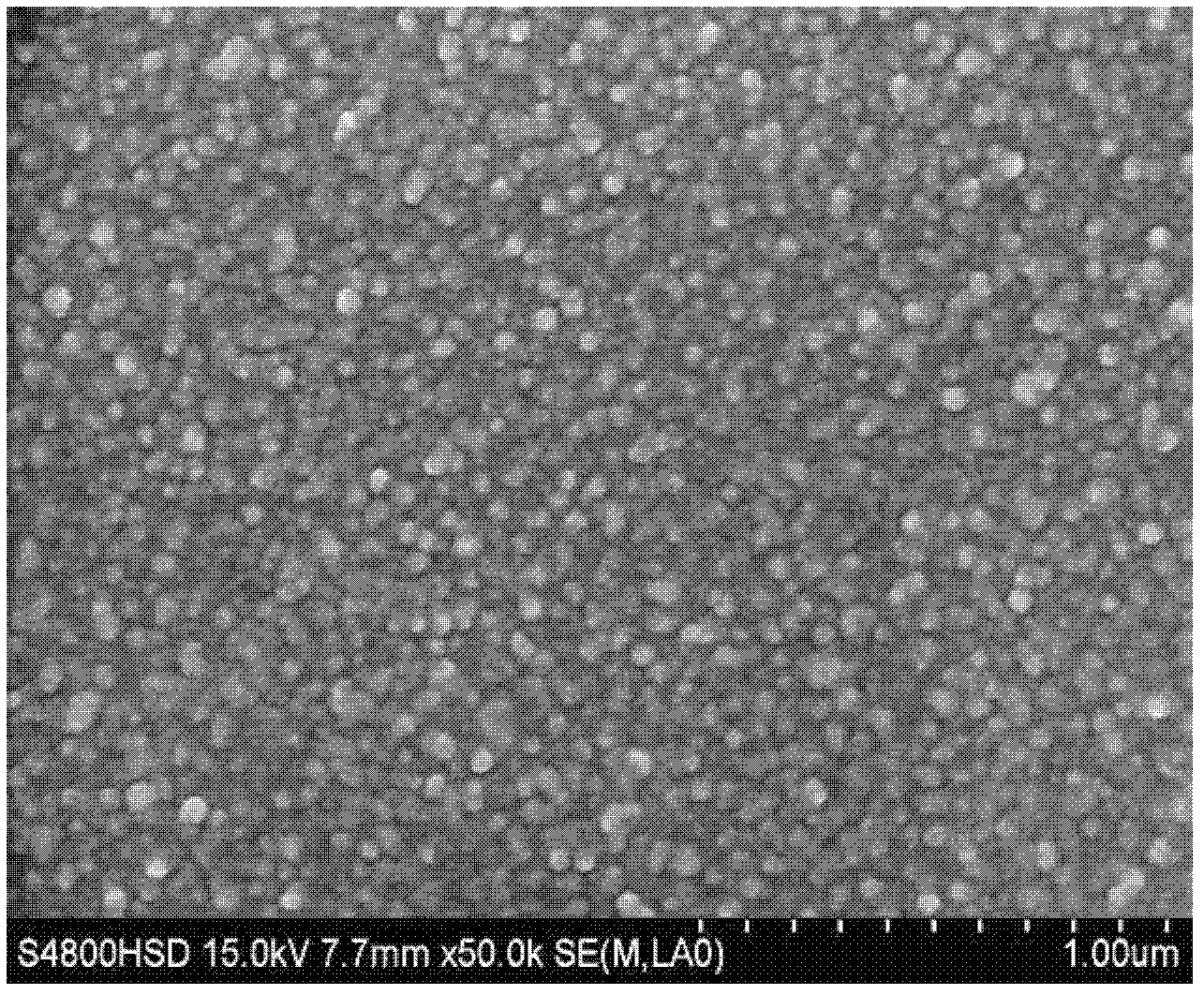 Method using gamma radiation for preparing nano-silver surface-enhanced Raman spectrum substrate