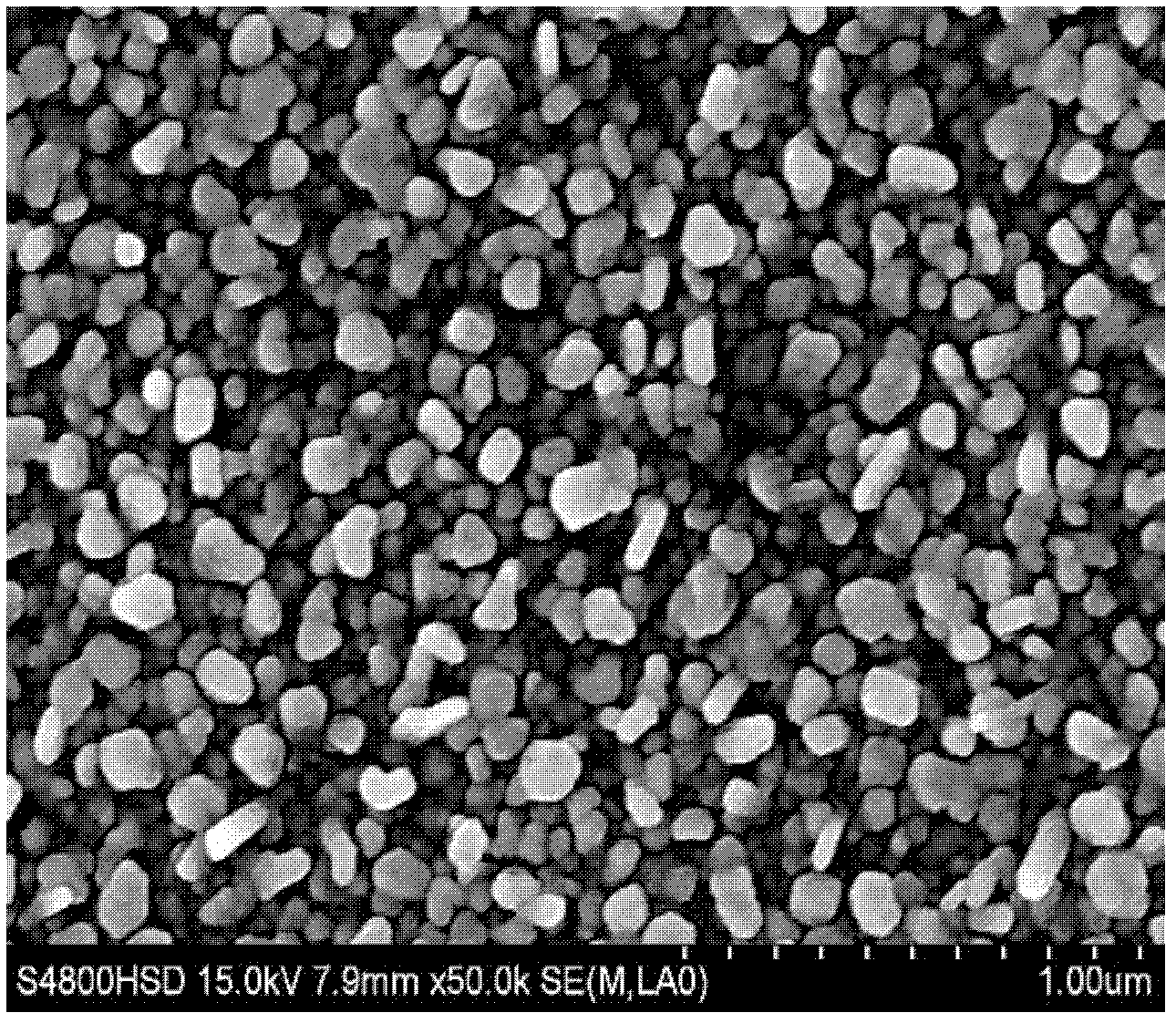 Method using gamma radiation for preparing nano-silver surface-enhanced Raman spectrum substrate