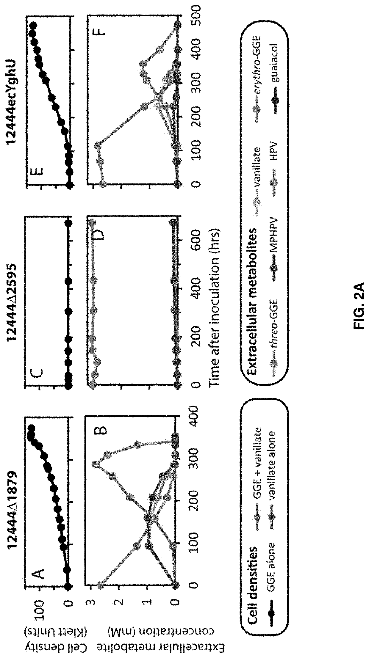 In vitro methods for processing lignin and other aromatic compounds