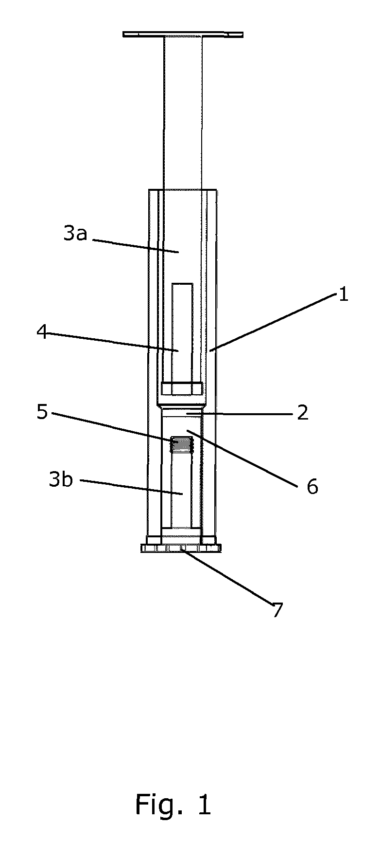 Syringe with a hollow plunger