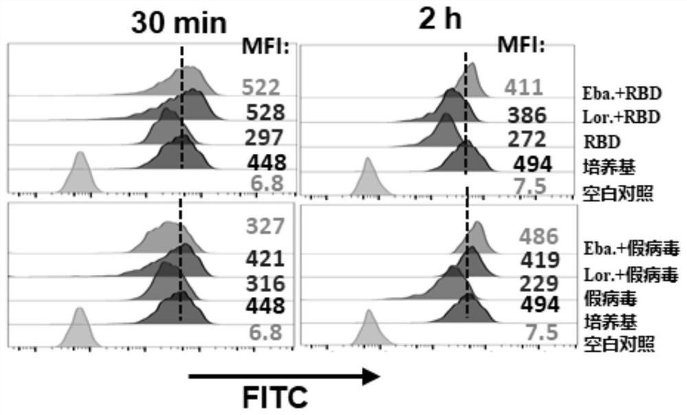 Application of loratadine or ebastine in preparation of medicine for preventing and/or treating COVID-19 inflammation