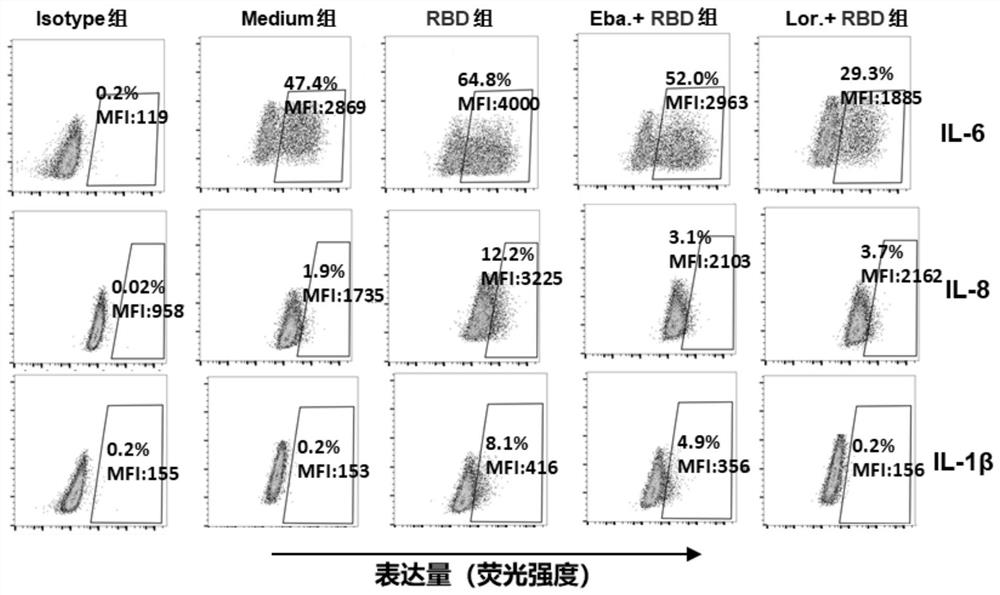 Application of loratadine or ebastine in preparation of medicine for preventing and/or treating COVID-19 inflammation