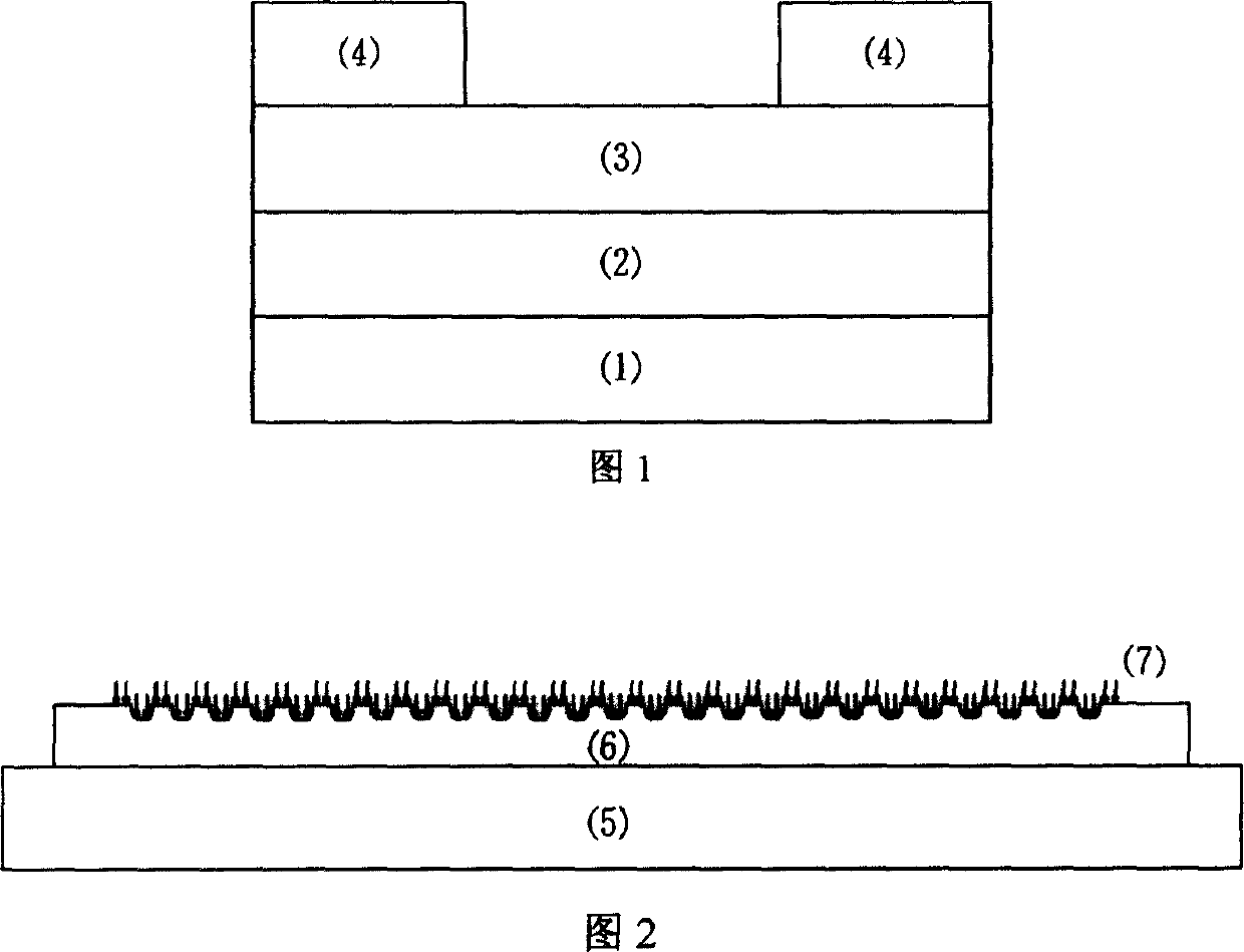 Organic field effect tube using single molecular layer as oriented transfer layer and its preparing method