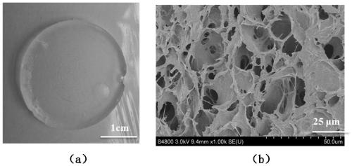 A photoresponsive antibacterial polyvinyl alcohol/sodium alginate drug-loaded hydrogel dressing and its preparation method