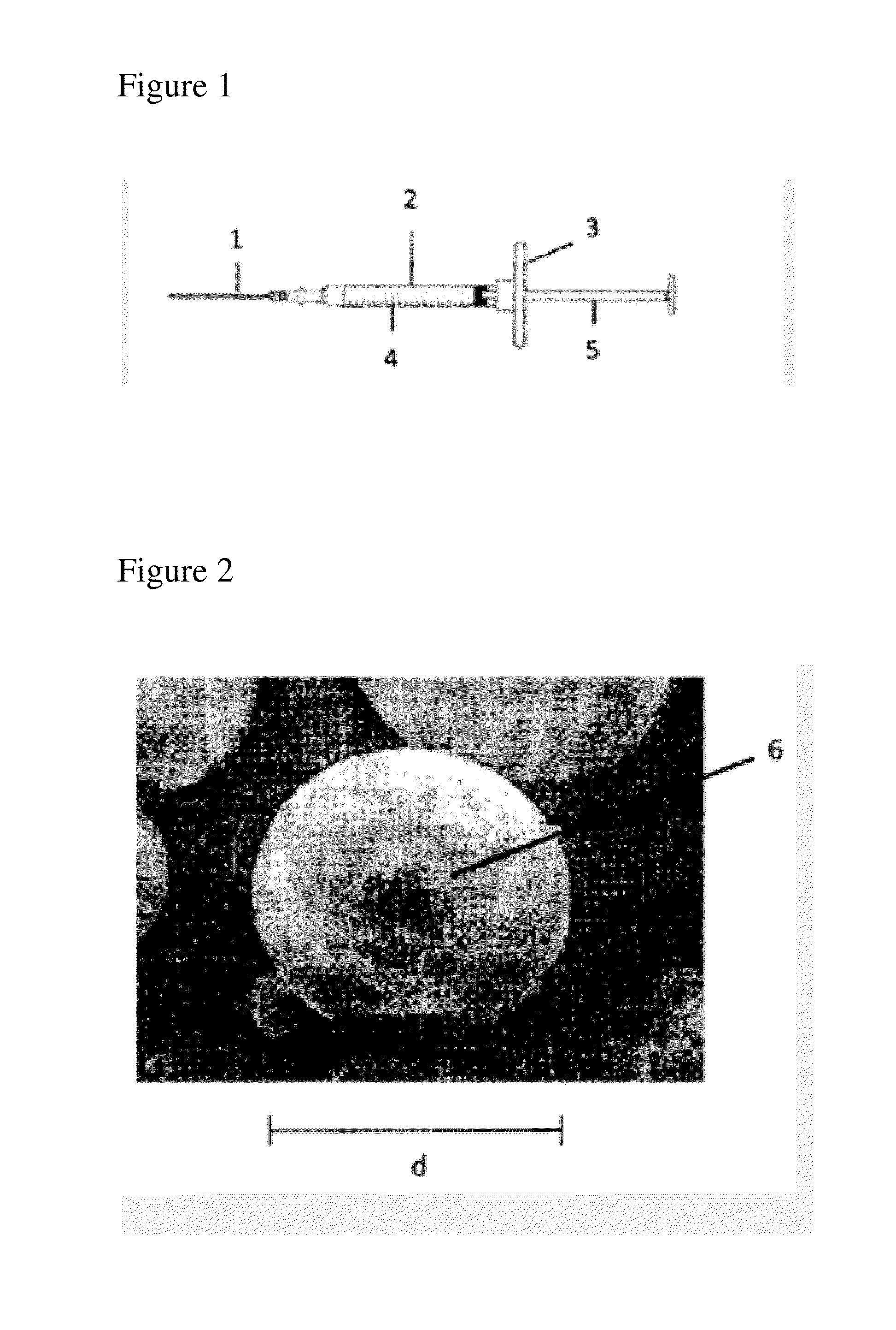 Enhanced Carriers For The Delivery of Microparticles To Bodily Tissues And Fluids