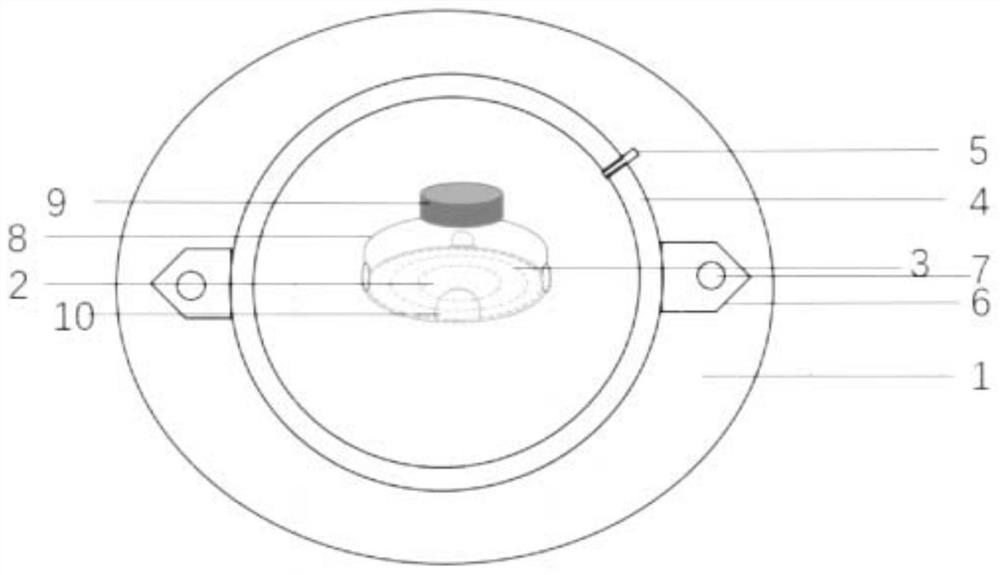 Stoma base plate for preventing intestinal canal prolapse after neonatal enterostomy