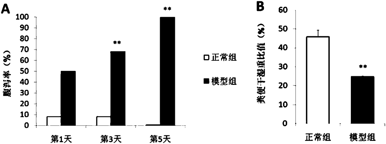 Use of Bifidobacterium animalis A6 in the preparation of medicaments