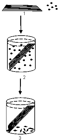 Method for carrying out cell density and arrangement controllable culture based on insect wing base