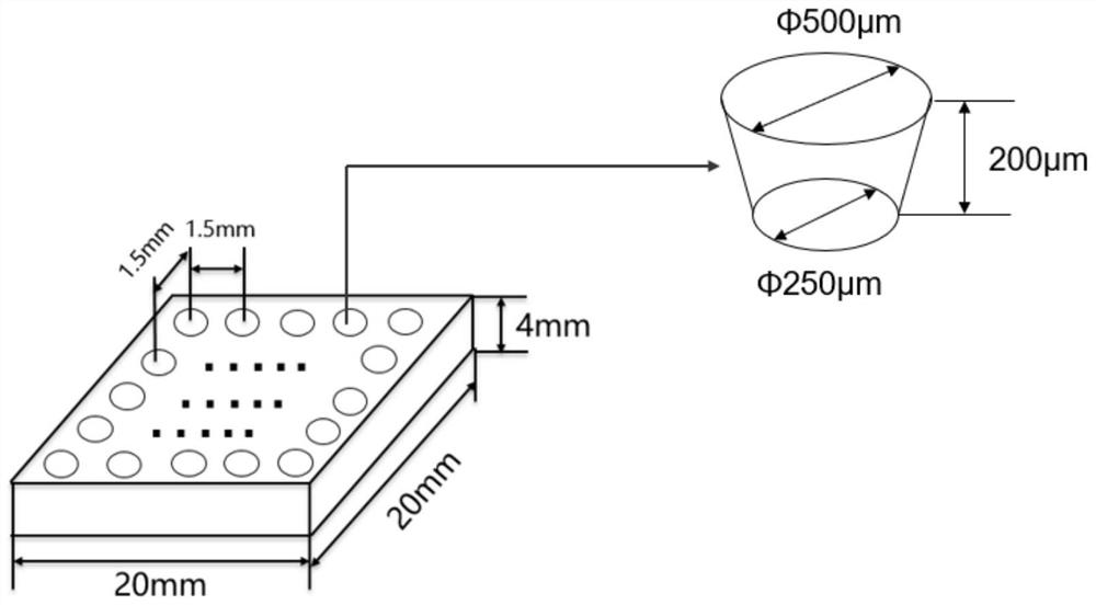 Preparation method of titanium implant with surface controllable micro-nano composite structure biofilm