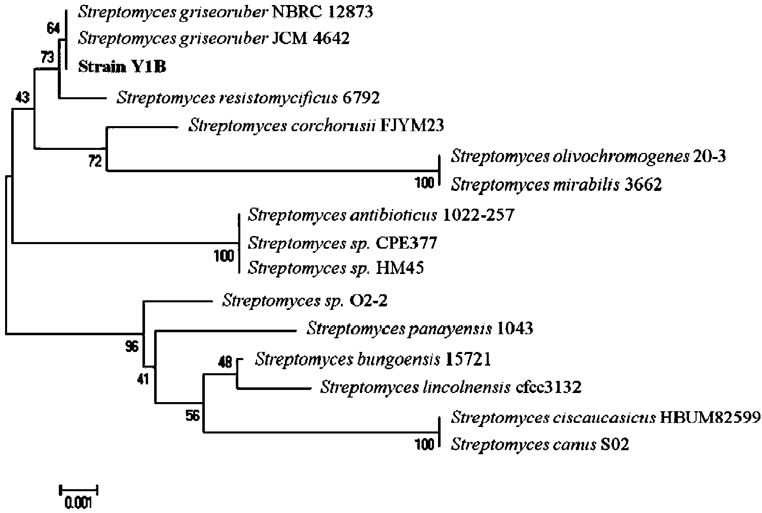 Biocontrol strain for antagonistic phytopathogen and use thereof
