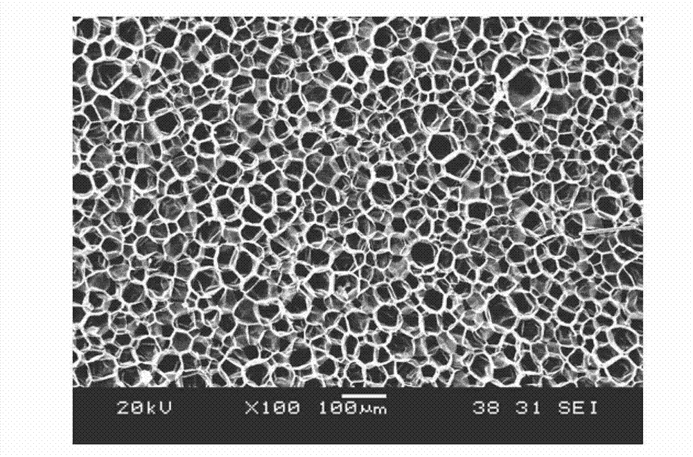 Method for preparing crystalline polyether-ether-ketone foam material