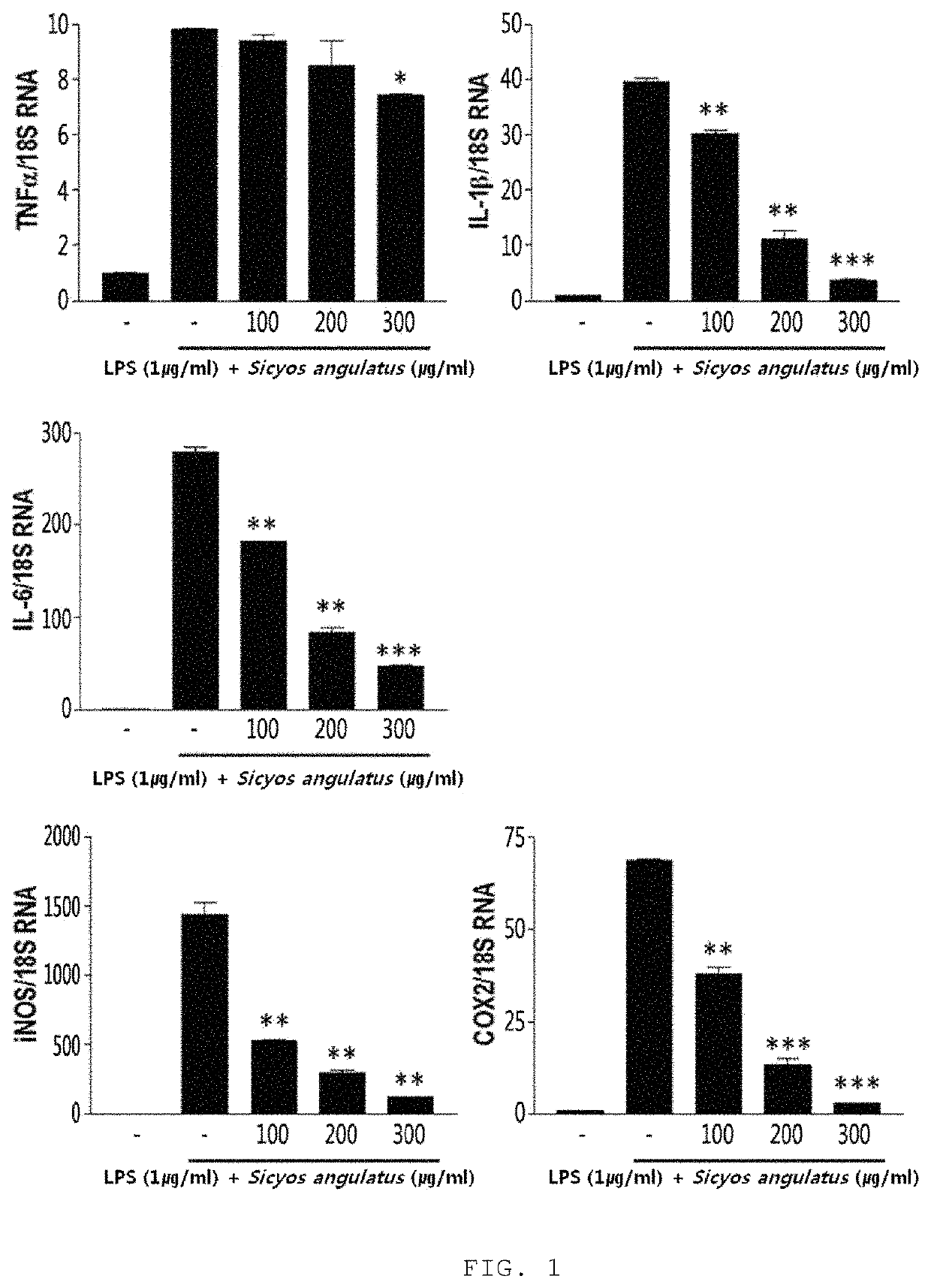 Composition for treating or preventing liver diseases, containing sicyos angulatus extract as active ingredient