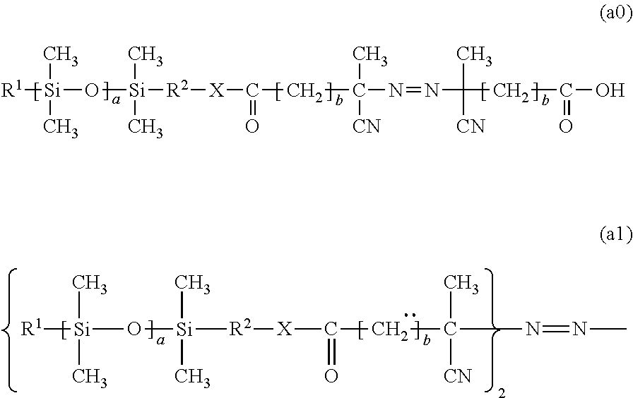 Macroinitiator containing hydrophobic segment