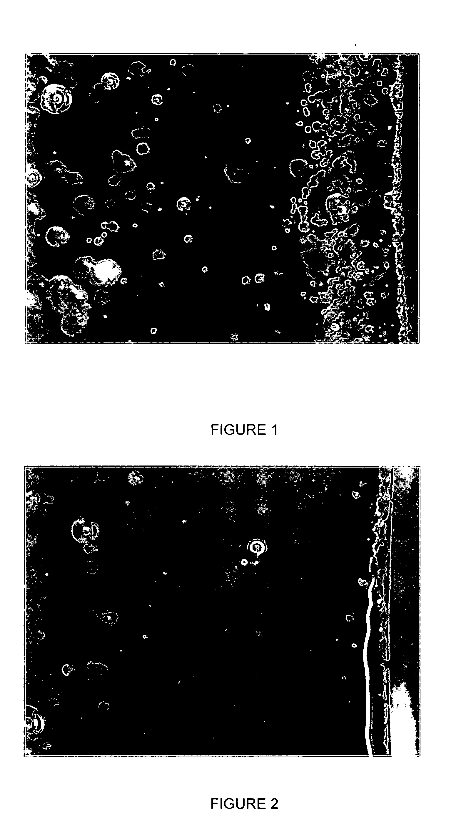 Process for treating synthetic silica powder and synthetic silica powder treated thereof