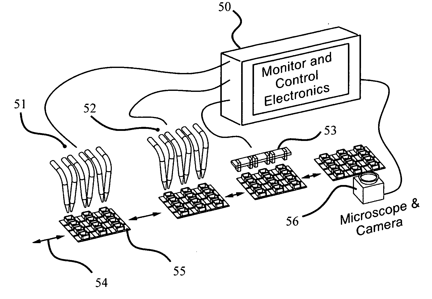 Planar electroporation apparatus and method
