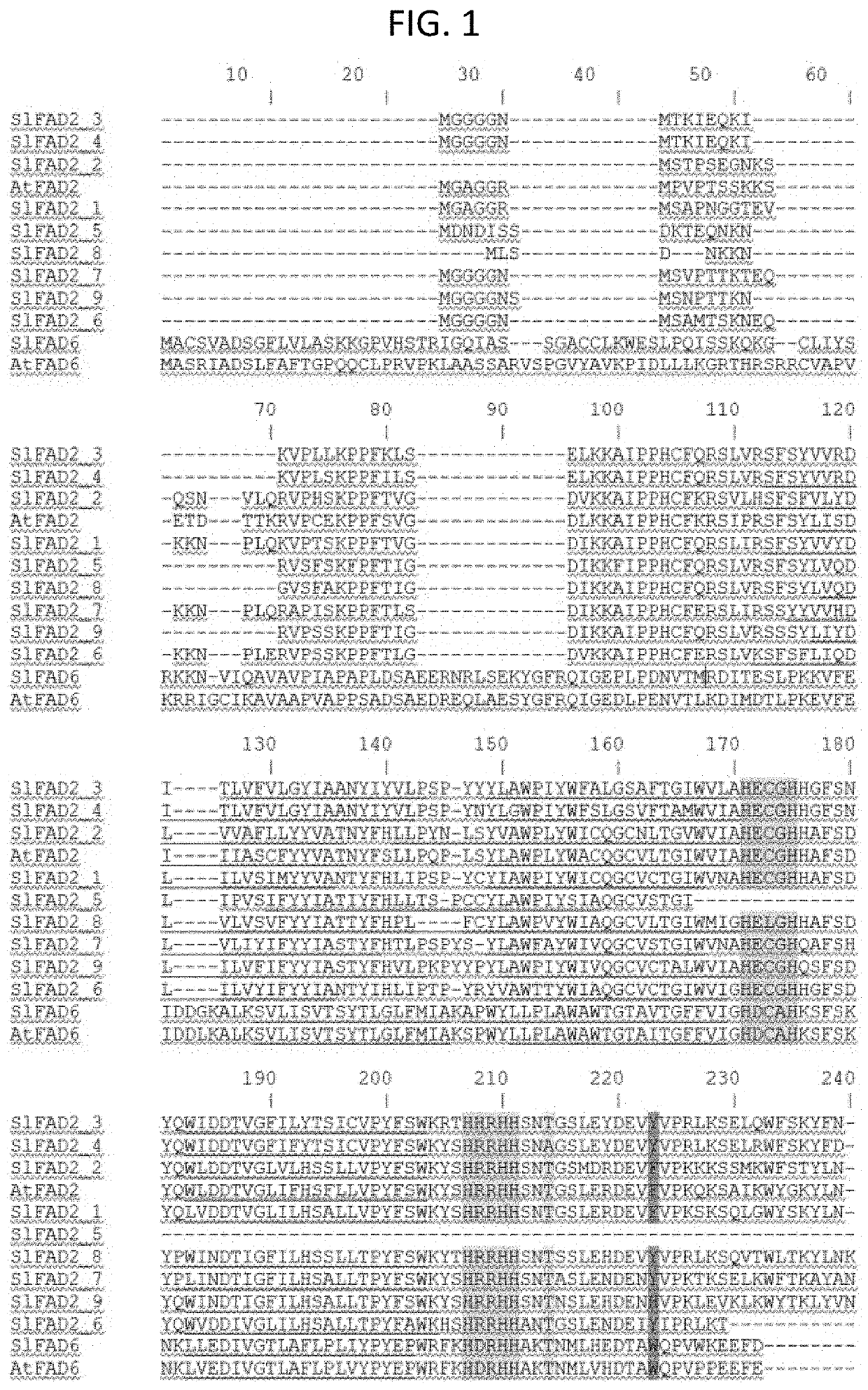 The fatty acid desaturase 2 family in tomato