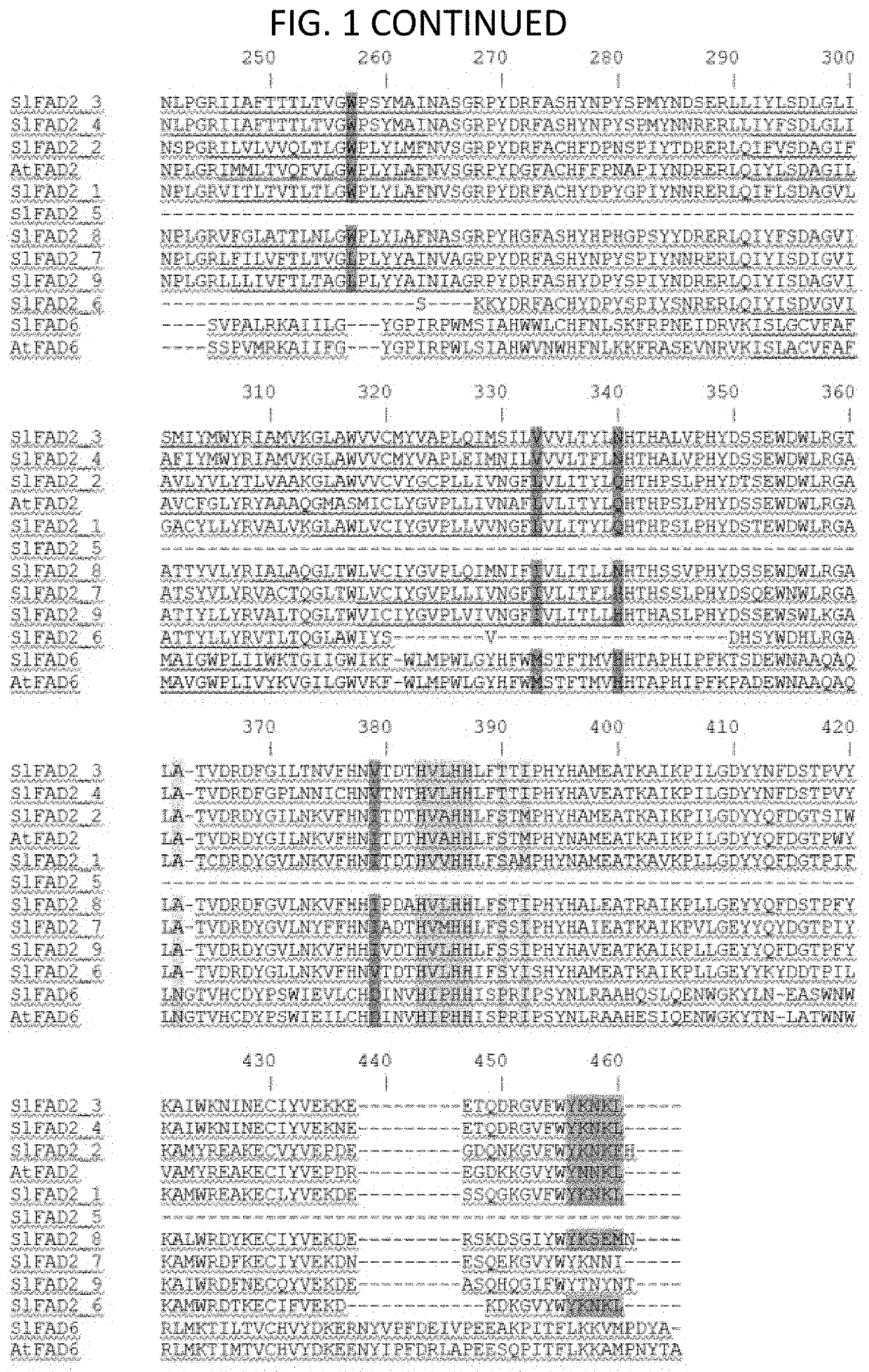 The fatty acid desaturase 2 family in tomato