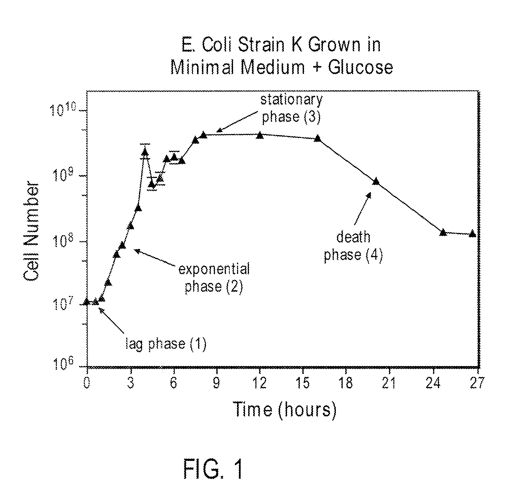 Systems and methods for large-scale production and harvesting of oil-rich algae