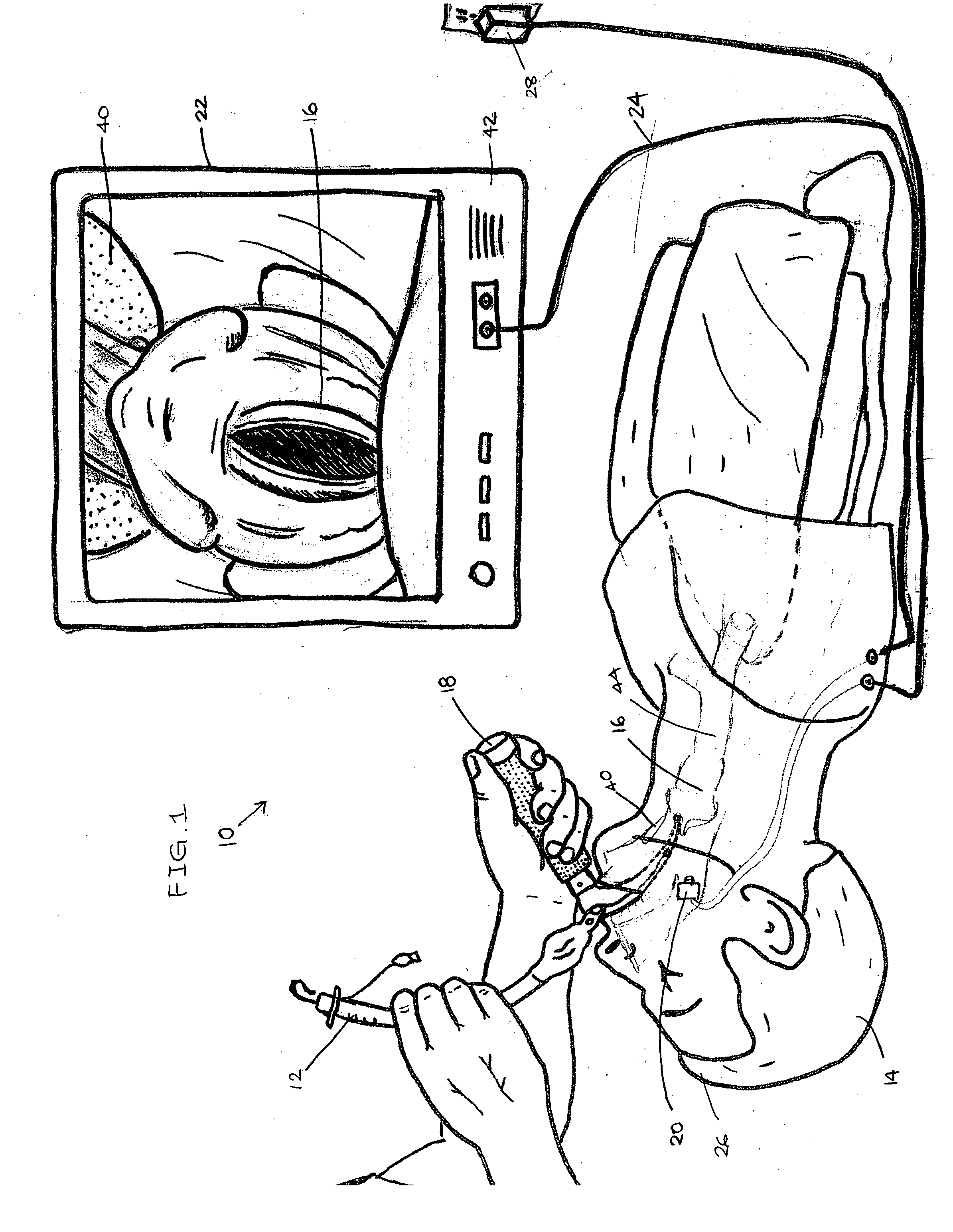 System and method of training the proper placement of airway adjuncts in a training manikin