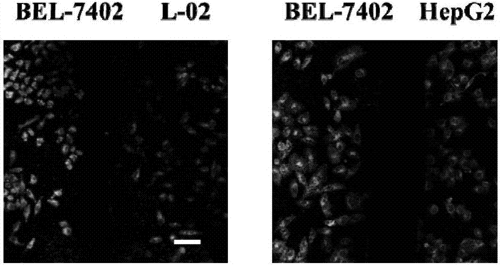 Hepatocarcinoma targeting lipid nanoparticle as well as preparation method and application