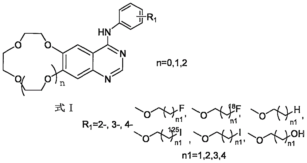 Crown ether cyclic quinazoline compound, preparation method therefor and application thereof in preparing tumor therapy and imaging drug