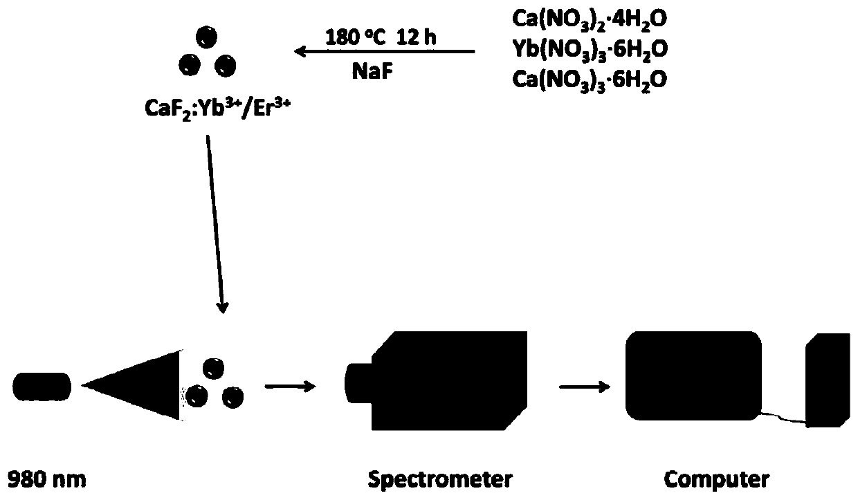 Up-conversion nanoparticle and preparation method thereof, and application of up-conversion nanoparticle in non-contact temperature measurement