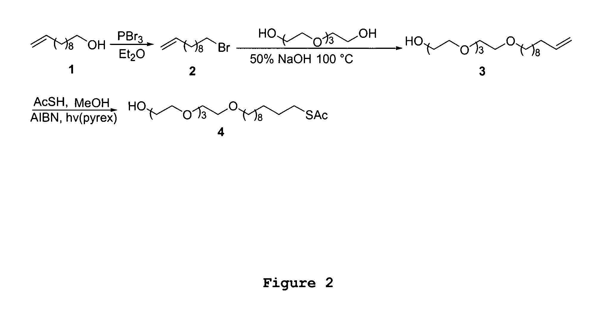 Method of microorganism detection using carbohydrate and lectin recognition