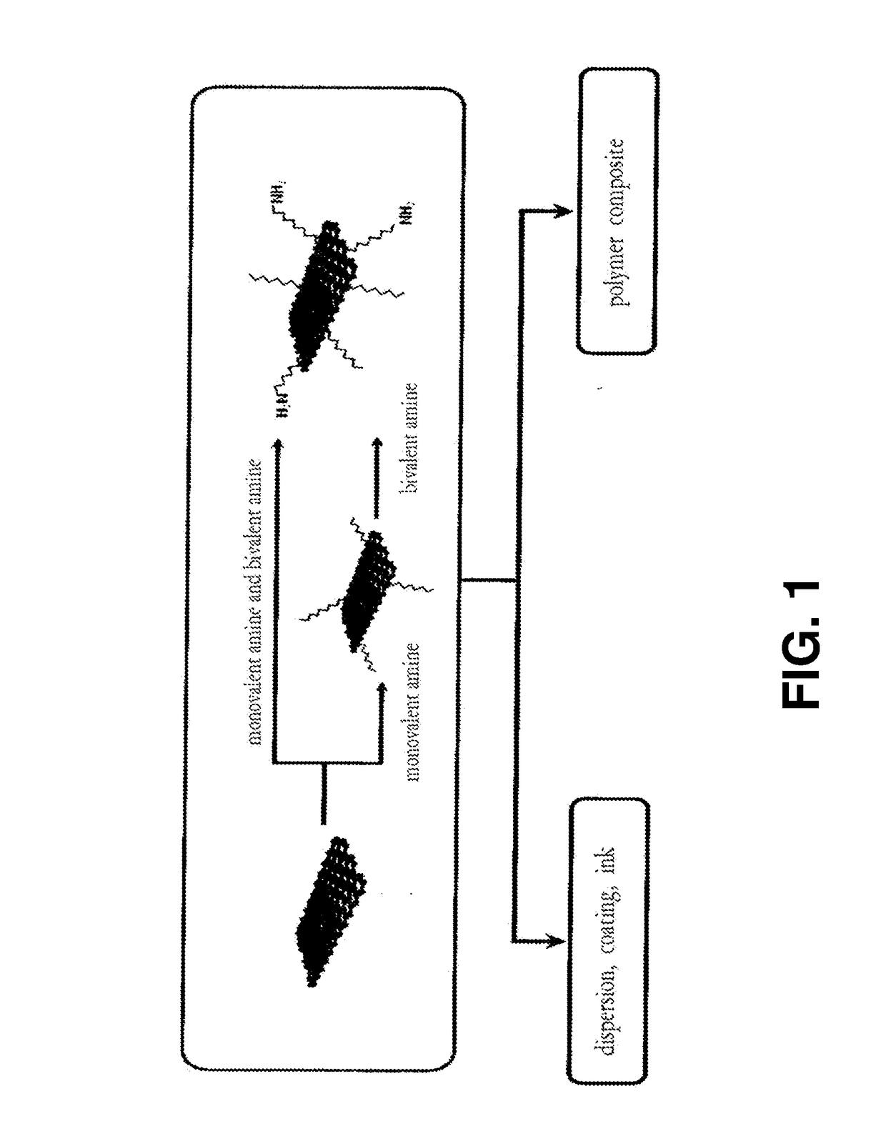 Functionalized graphene comprising two or more types of amines, and preparation method therefor
