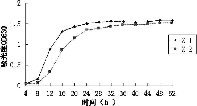 Preparation method of compound microbial flocculant for cyanobacterial bloom