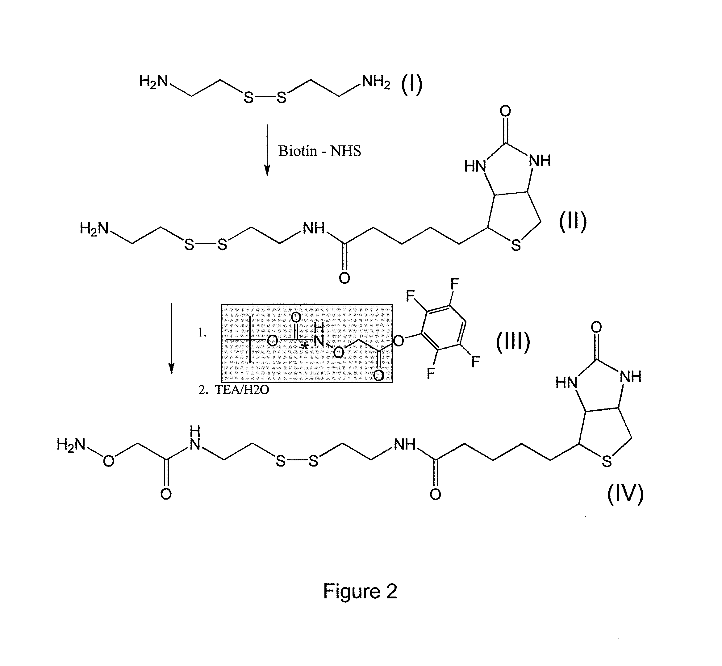 Compositions and methods for selection of nucleic acids containing modified bases