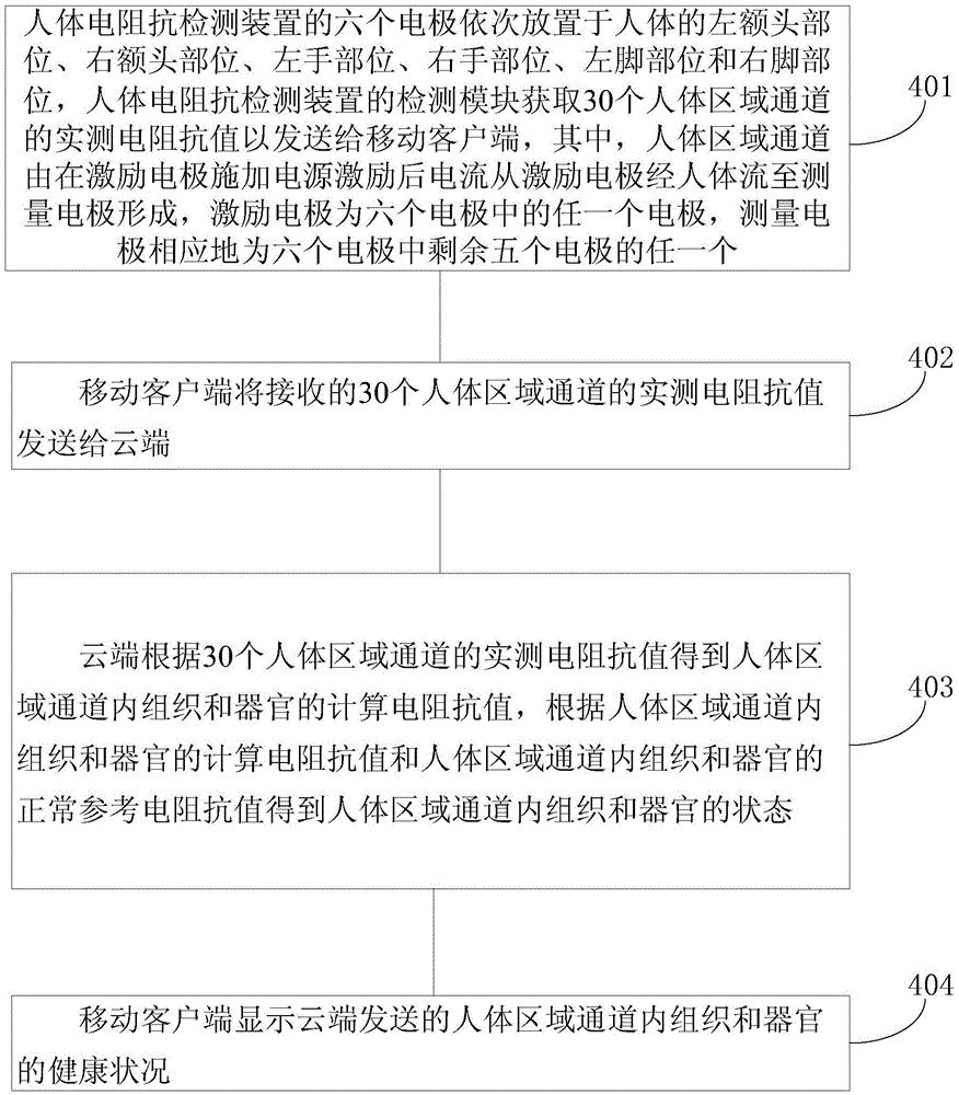 Human body electrical impedance health risk assessment system and human body electrical impedance health risk assessment method