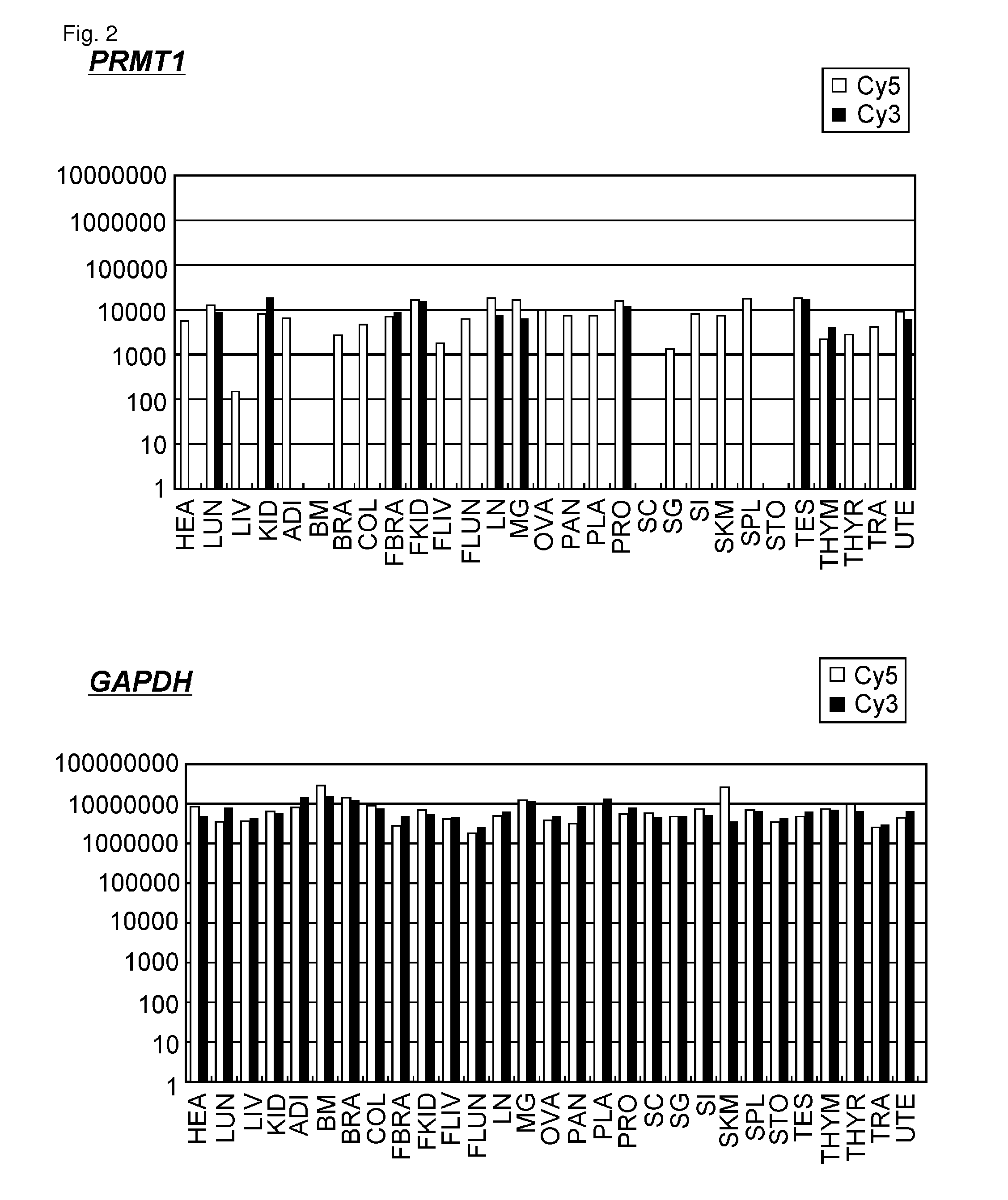 PRMT1 for target genes of cancer therapy and diagnosis