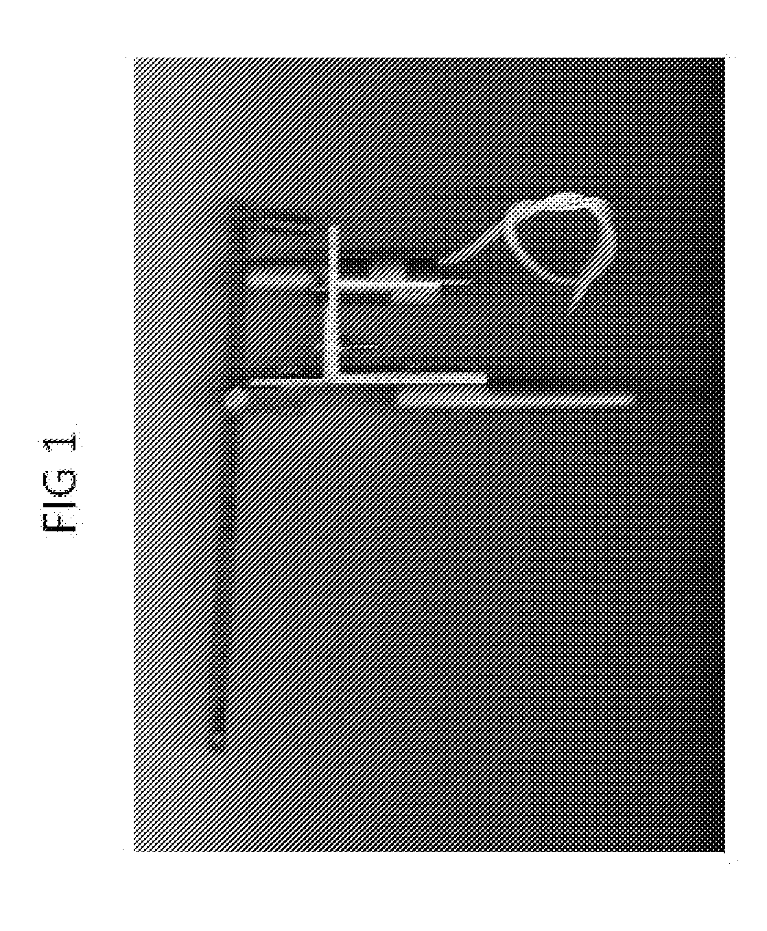 Recreational, Occupational, And Physical Therapy System and Apparatus