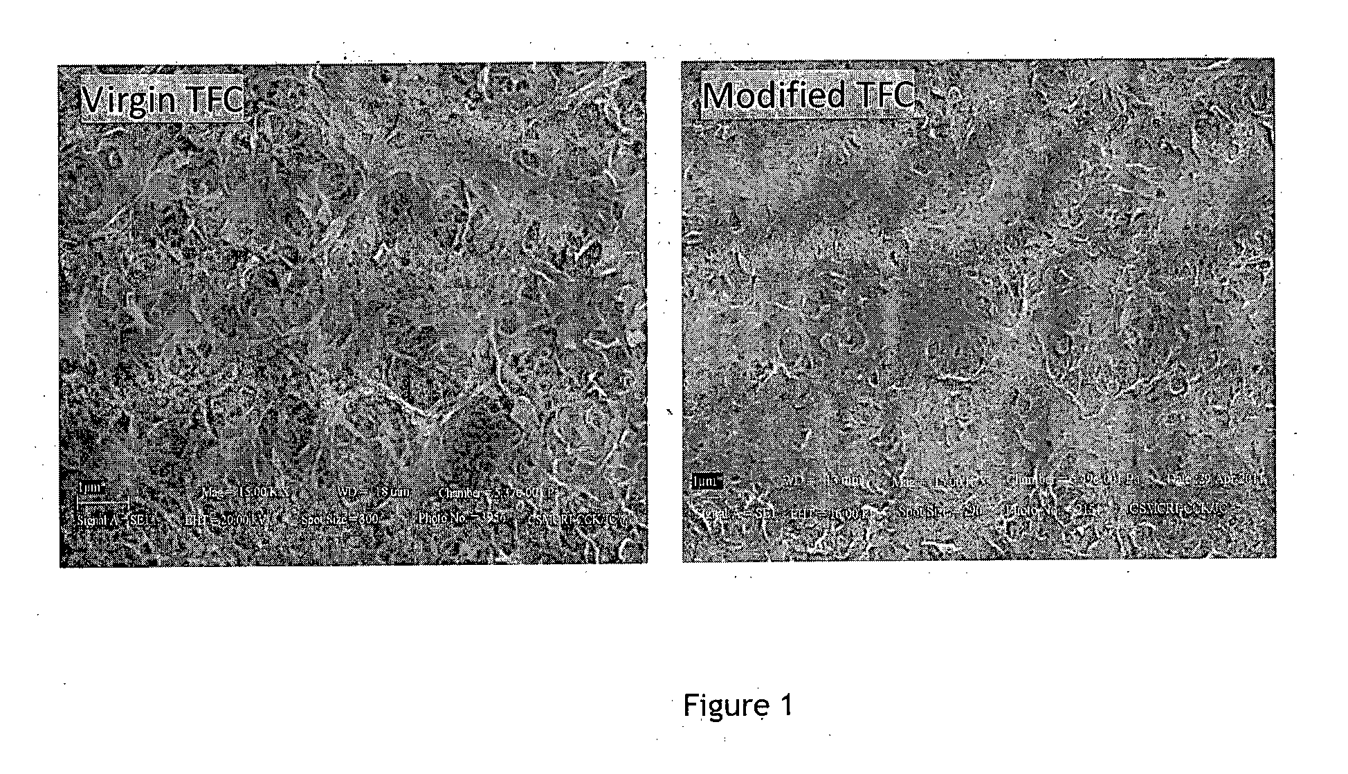 Modified thin film composite reverse osmosis membrane and a process for preparation thereof