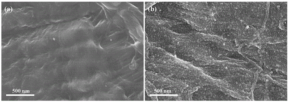 Filter paper with fixedly-carried nano palladium, preparation and applications thereof
