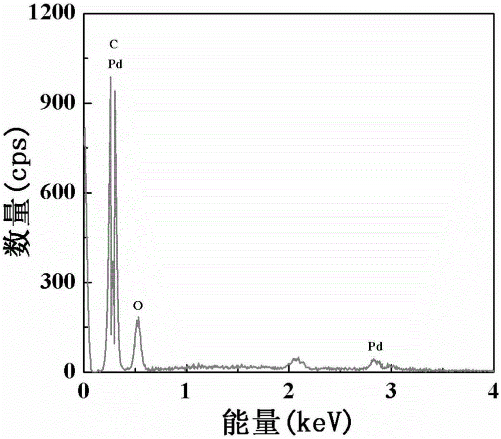 Filter paper with fixedly-carried nano palladium, preparation and applications thereof