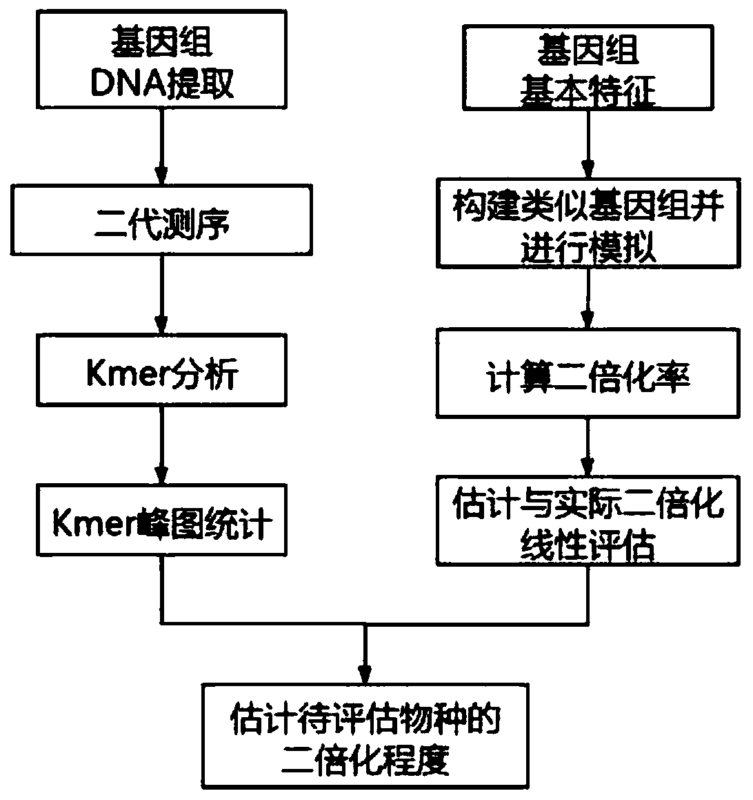 Polyploid organism genome diploidization degree quantitative evaluation method