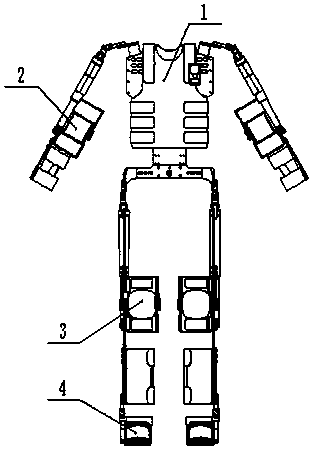 Simple exoskeleton of human body