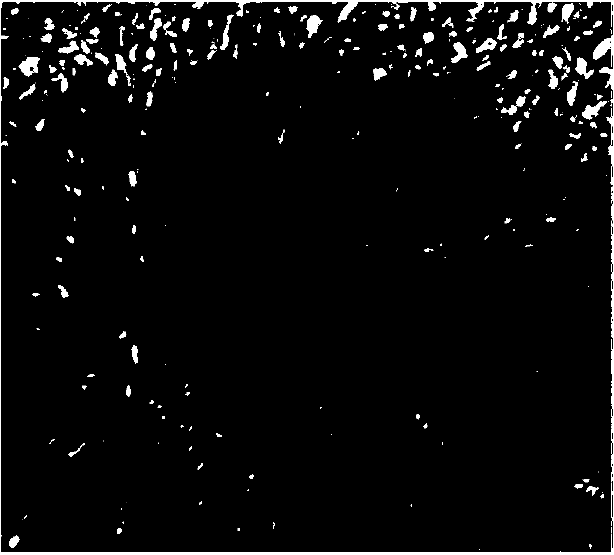 A multi-scale velocity field measurement method between two adjacent frames in a high-resolution solar image sequence