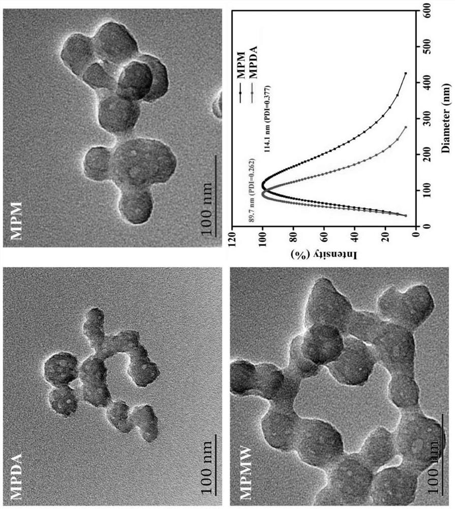 Cartilage targeting double-drug-loaded nano-microspheres with optical thermal response characteristic and preparation method and application thereof