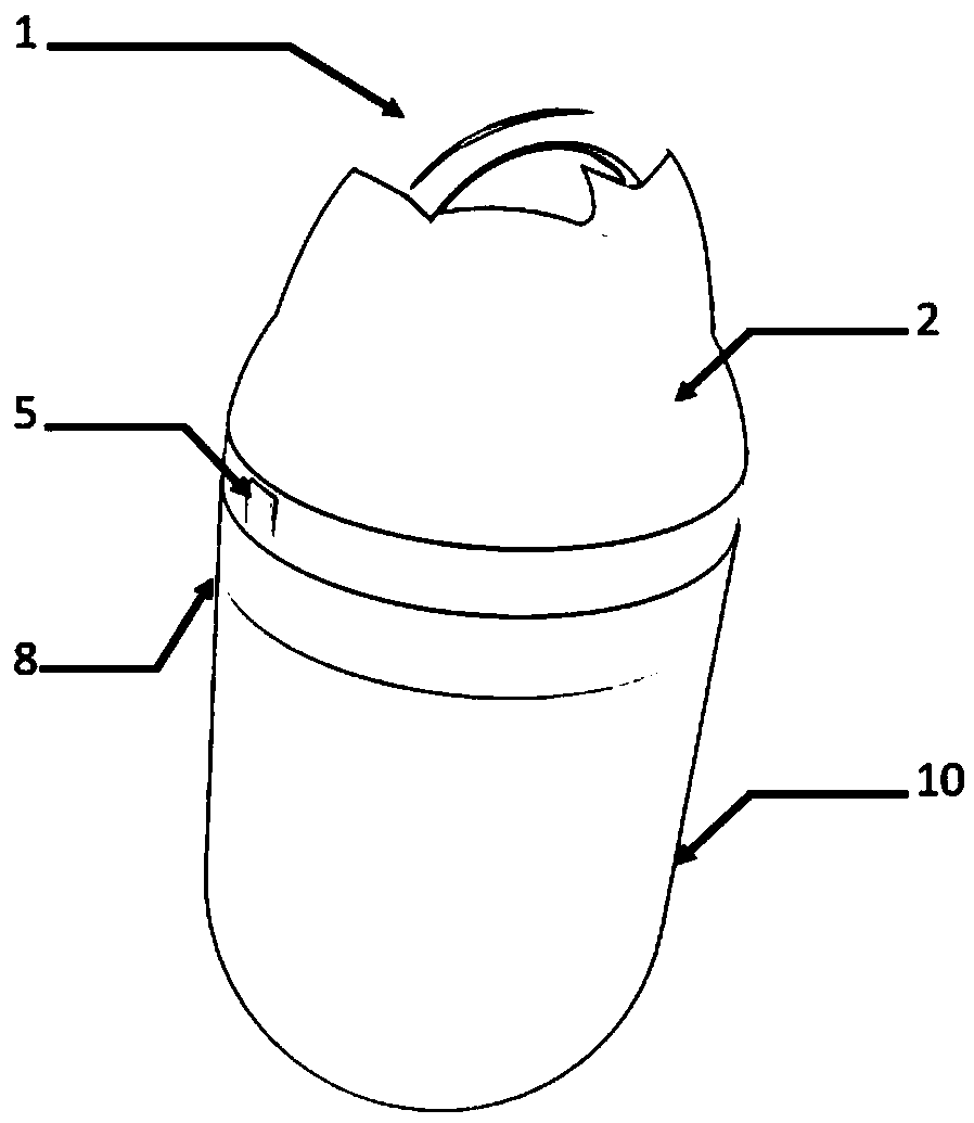 Water lifesaving capsule capable of being catapulted and application