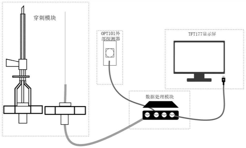 Fiber-guided oxygen saturation detection device and method