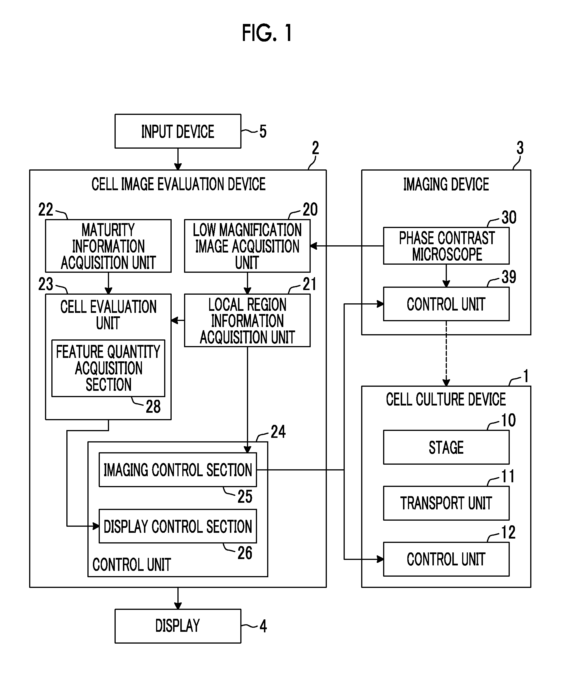 Cell image evaluation device, method, and program