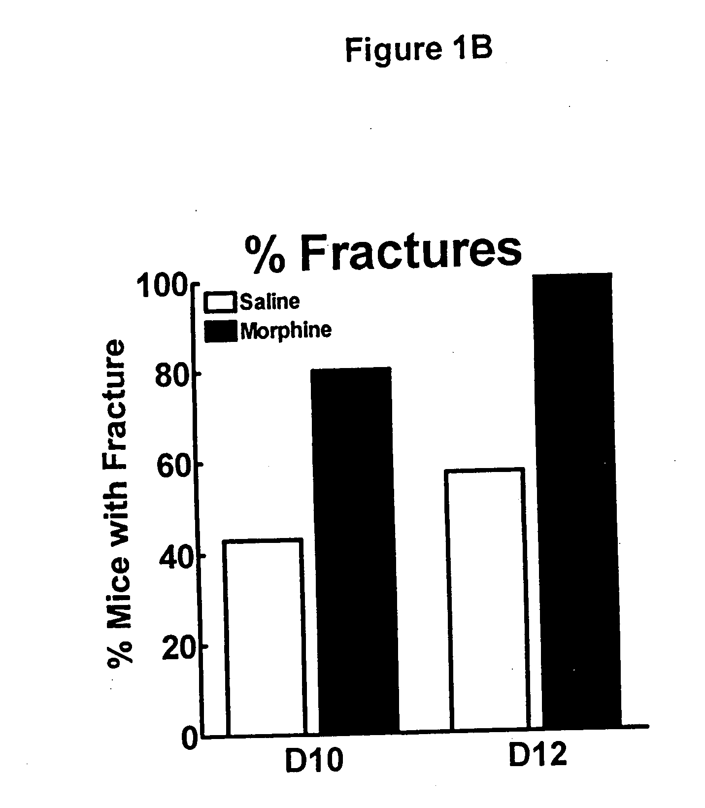 Compositions and methods in the treatment of bone metabolic disorders