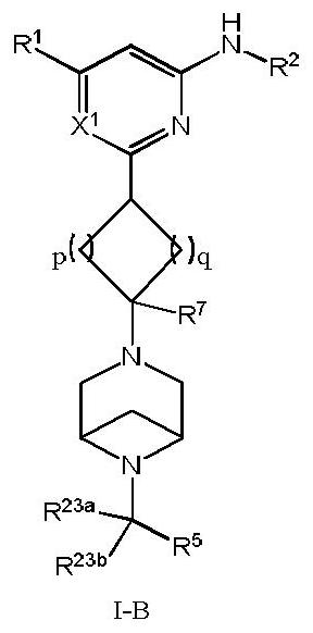 Arylamine compound, pharmaceutical composition containing arylamine compound as well as preparation method and application of arylamine compound