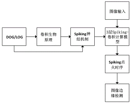 Image edge detection method based on Spiking-convolution network model