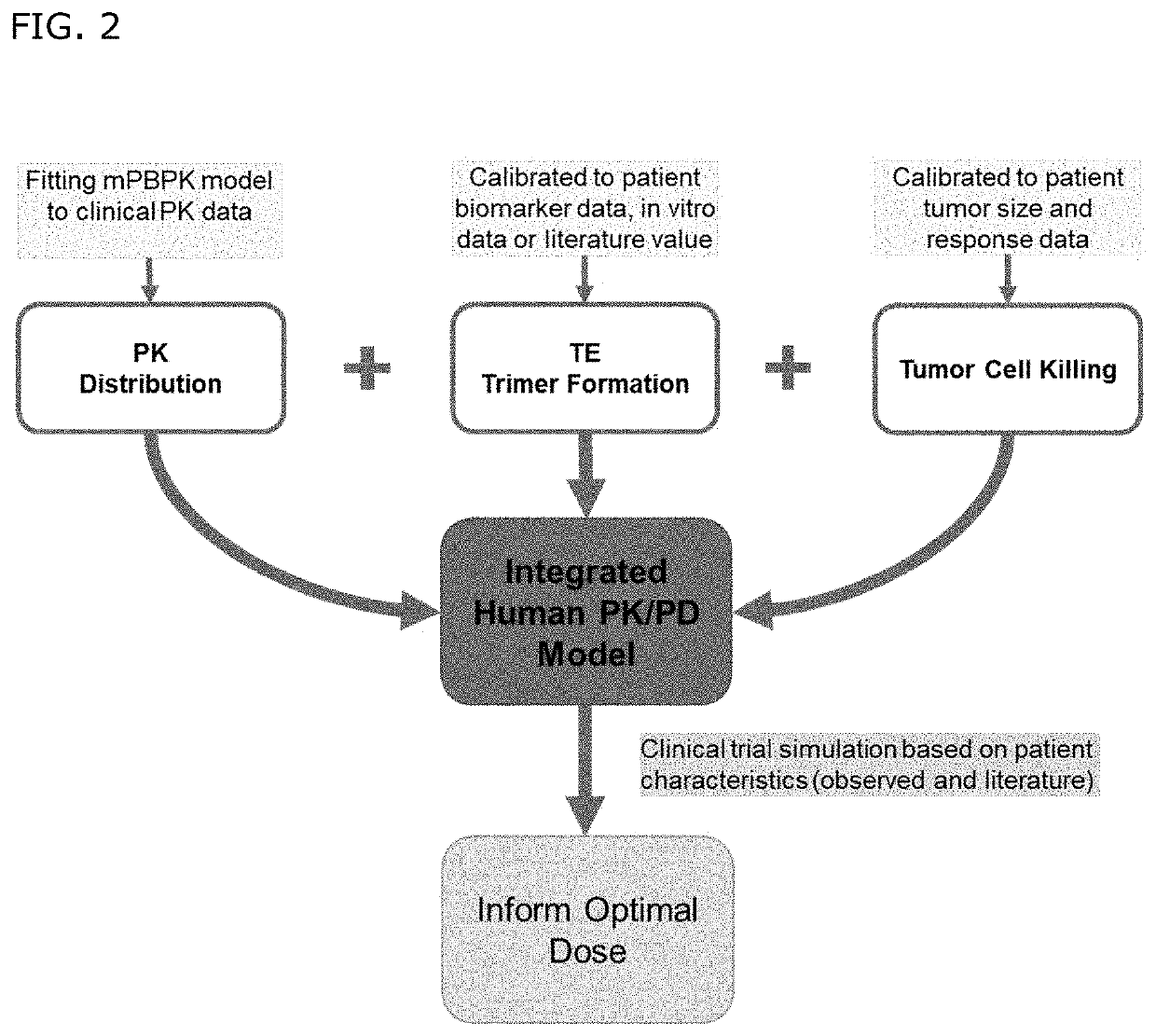 Bispecific antibodies against cd3 and cd20